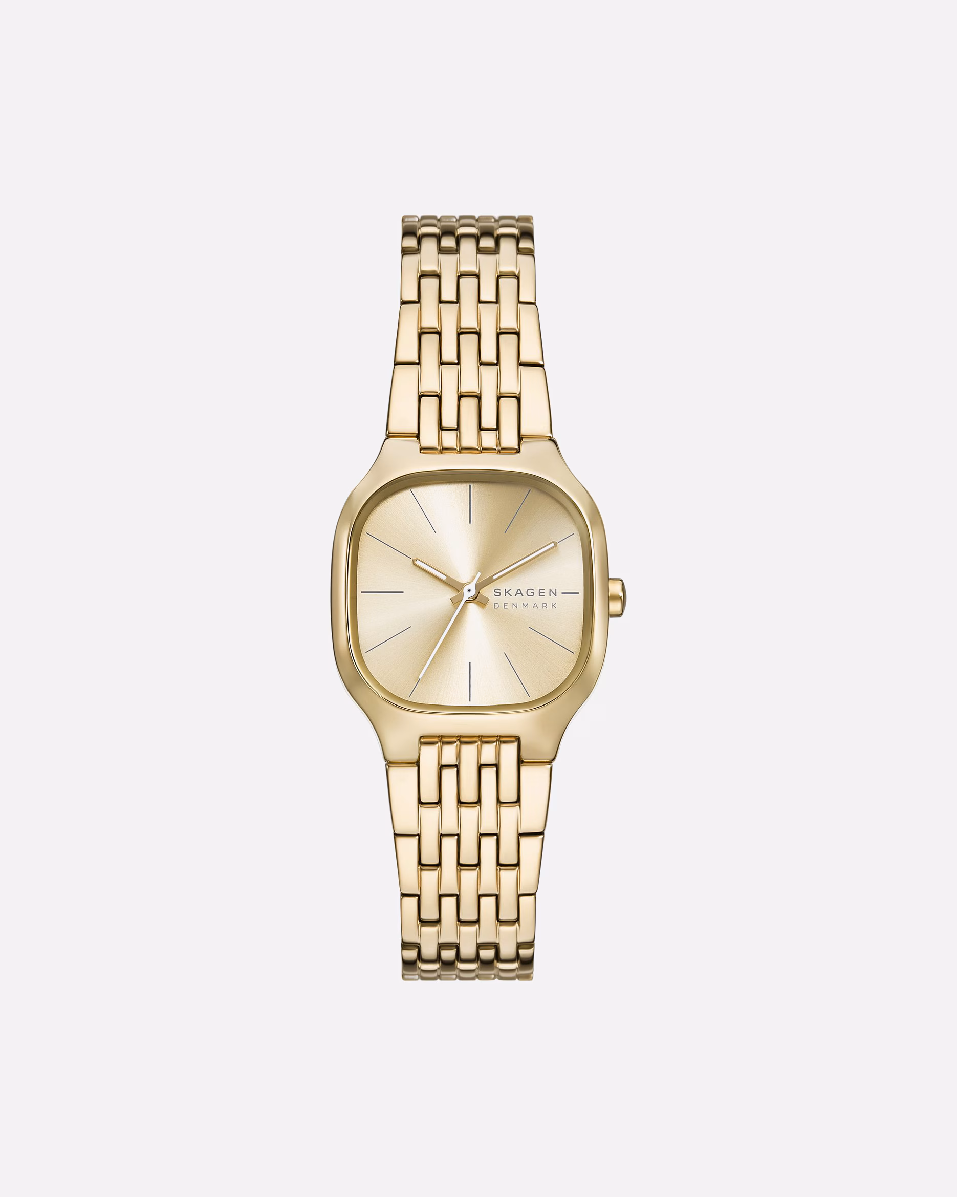 Skagen watch ladies watch stainless steel gold