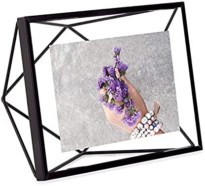 Umbra Nesta Plant Holder For Hanging or Standing
