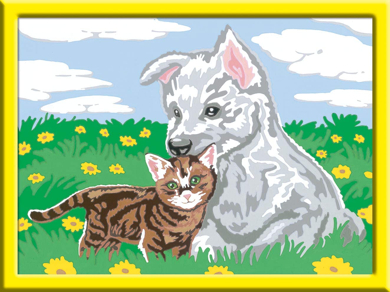 Ravensburger Paint By Numbers 28465 Dolphin, Cute Animal Children, -