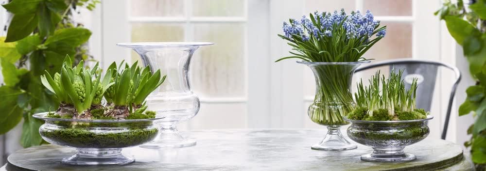 Holmegaard Old English Vase, Flower Bowl, Flower Vase, Glass Bowl, Glass Vase, Hand-Blown Glass, Clear, H 24 cm, RDHG04343803