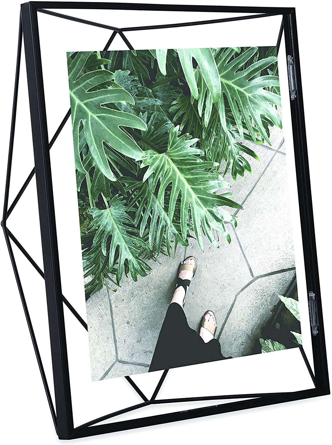Umbra Nesta Plant Holder For Hanging or Standing