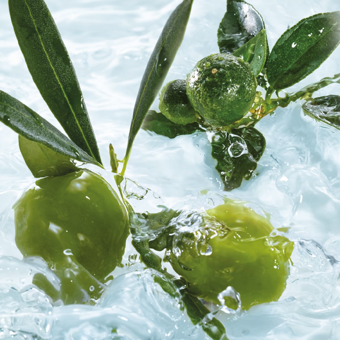 Yves Rocher LES PLAISIRS NATURE Shower Bath Olive Petitgrain Aroma Bubble Bath & Nourishing Shower Gel 1 x Bottle 200 ml