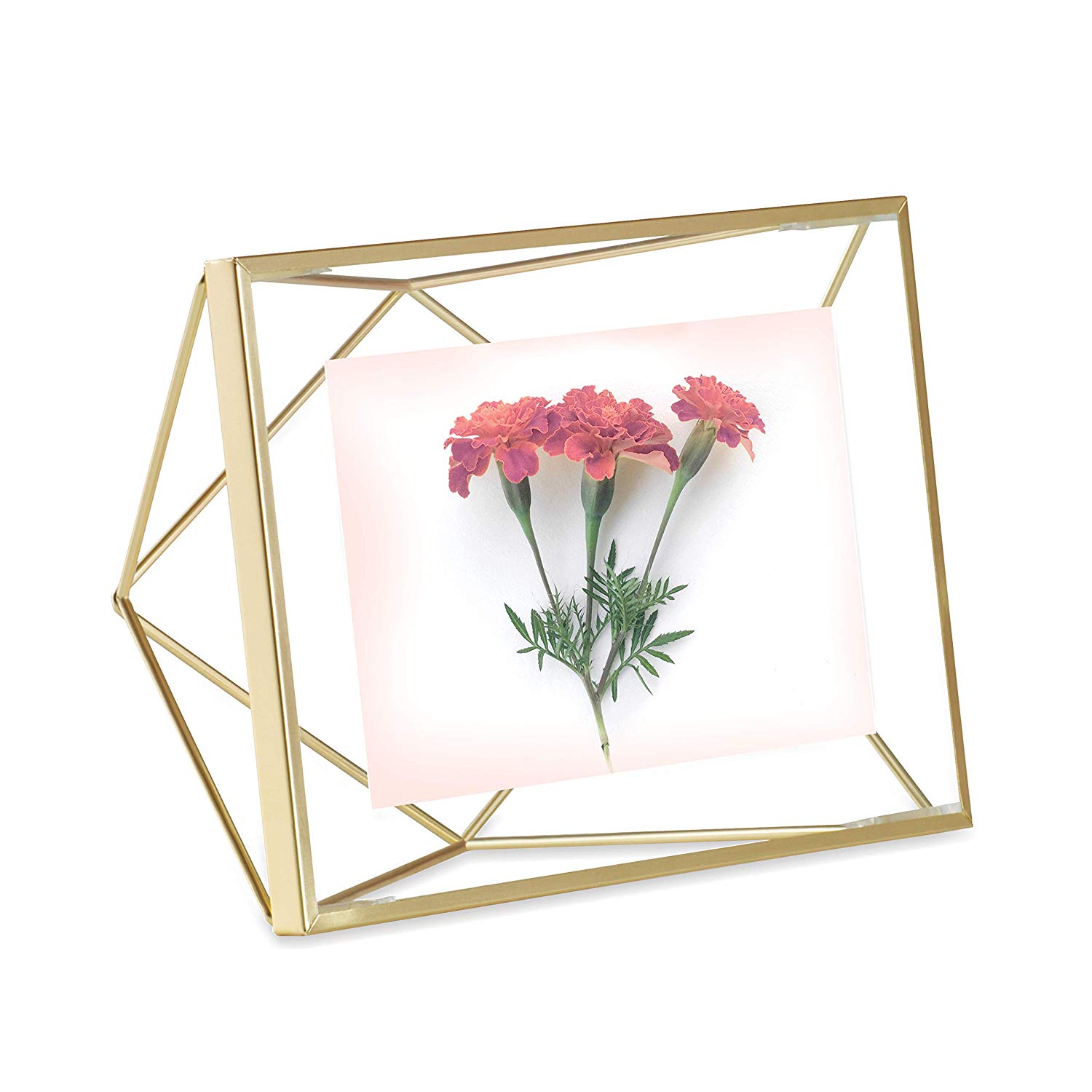 Umbra 313019-040, Prisma Multi Photo Frame in Steel, Matte Gold, 10x15