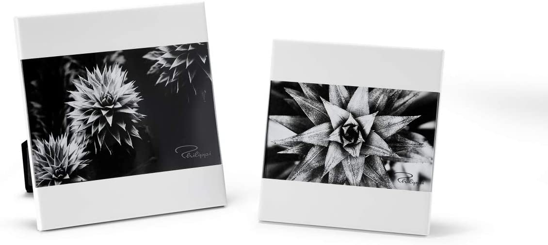 Philippi Zak Frame, White 10 X 15 Cm