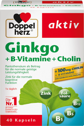 Doppelherz Ginkgo B-Vitamins Choline Capsules 40 Pcs., 22.2 G