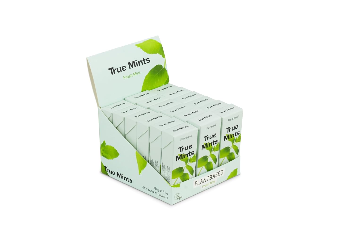 True Gum Store True Mints - Display of 18 | Fresh Mint | Vegetable and Sugar-Free Pastilles, 18 x 13 g, 234 g