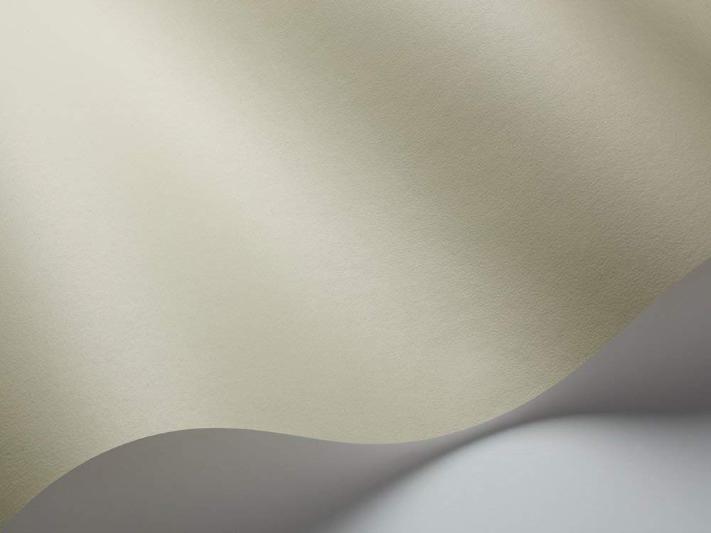 Borastapeter 7940 0.53 X 10.05 M "Linden Green" Wallpaper