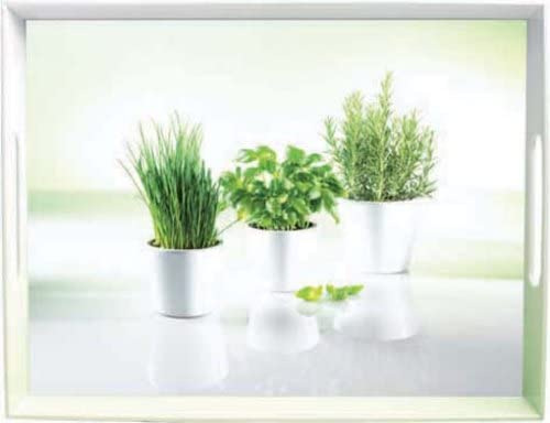 Emsa Classic Tray, 50 X 37 Cm