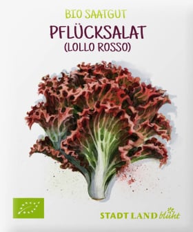 Stadt Land blüht Seeds of the Lollo Rosso variety, 1 pc