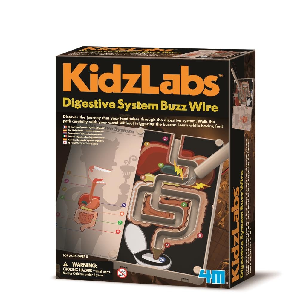 4M M Digestive System Buzz Wire