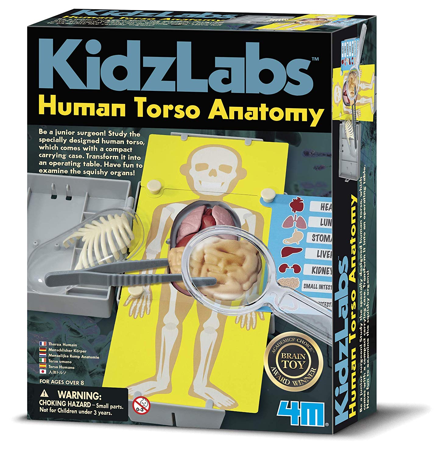 4M 4 M Kidz Labs Human Hair Torso Toy