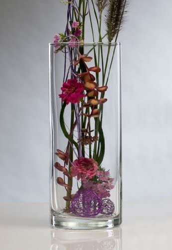 Sandra Rich glass vase CYLI cylinder 30cm
