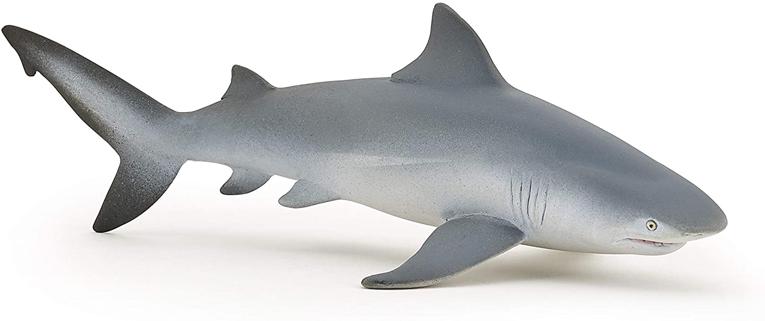 Papo 56044 Sea World Bullshark Multicolour