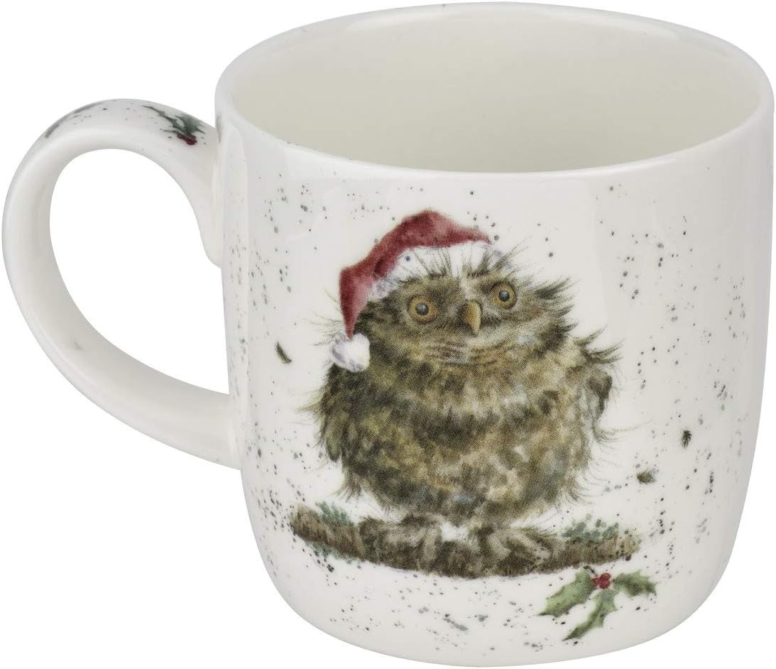 Royal Worcester WNOX5629-XSM Bone China Mug, Multi-Colour