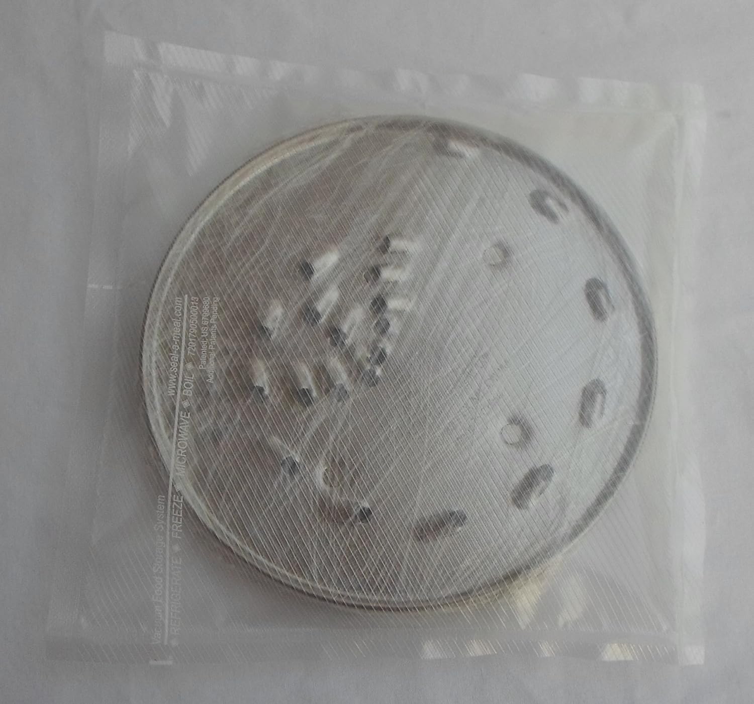 Cuisinart DLC-837 Medium Shredding Disc
