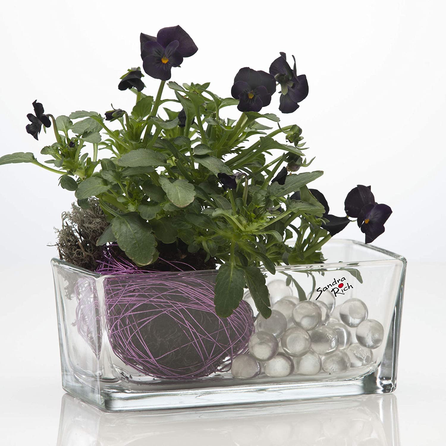 Sandra Rich Sand Rarich JARDINERIADECRISTAL15 x 7.5 x 6.5 cm