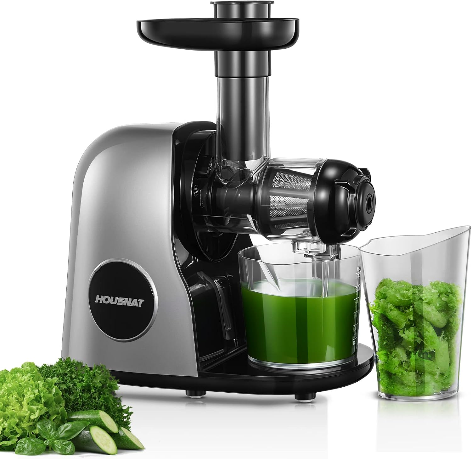 HOUSNAT Slow Juicer, Juicer Vegetable and Fruit, Professional Juicer with Quiet Motor, Reverse Function, Juice Jug, Cleaning Brush, 2 Filter Elements, BPA Free (Silver)