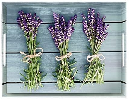 Emsa Classic Tray, 50 X 37 Cm