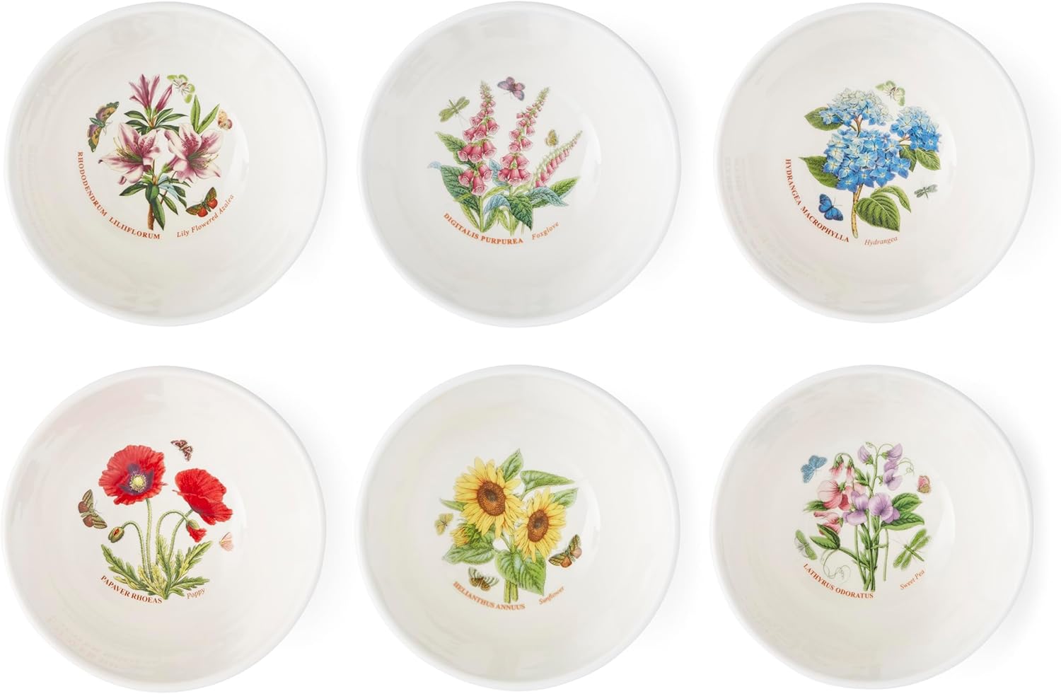 Portmeirion Portmerion Botanical Garden Meadow 14cm Round Stackable Assorted Flowers with Colorful Bay Leaf Border Stoneware Microwave and Dishwasher Safe Home Restaurant Daily Use