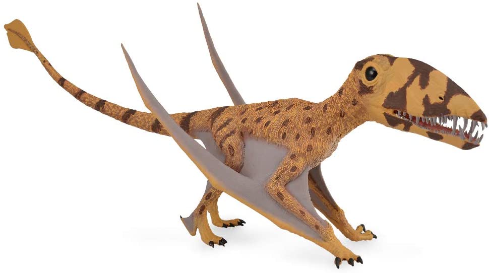 Tachan Collecta 88798 Deluxe 1: 40 – Dimorphodon