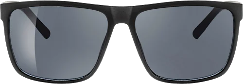 Adult sunglasses, black frame, black tinted lenses, 1 pc.
