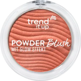 trend !t up Blush Powder 040, 5 g