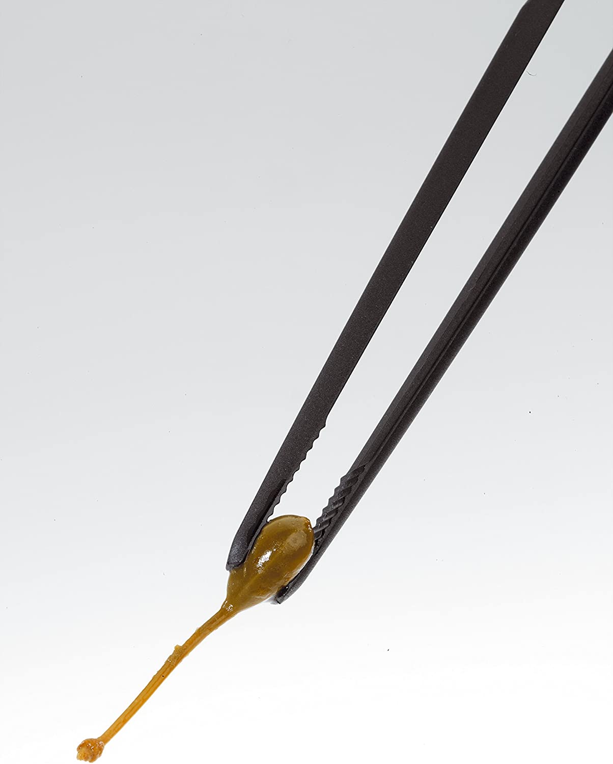 Gefu Piccolino 21600 Multi-Purpose Tweezers