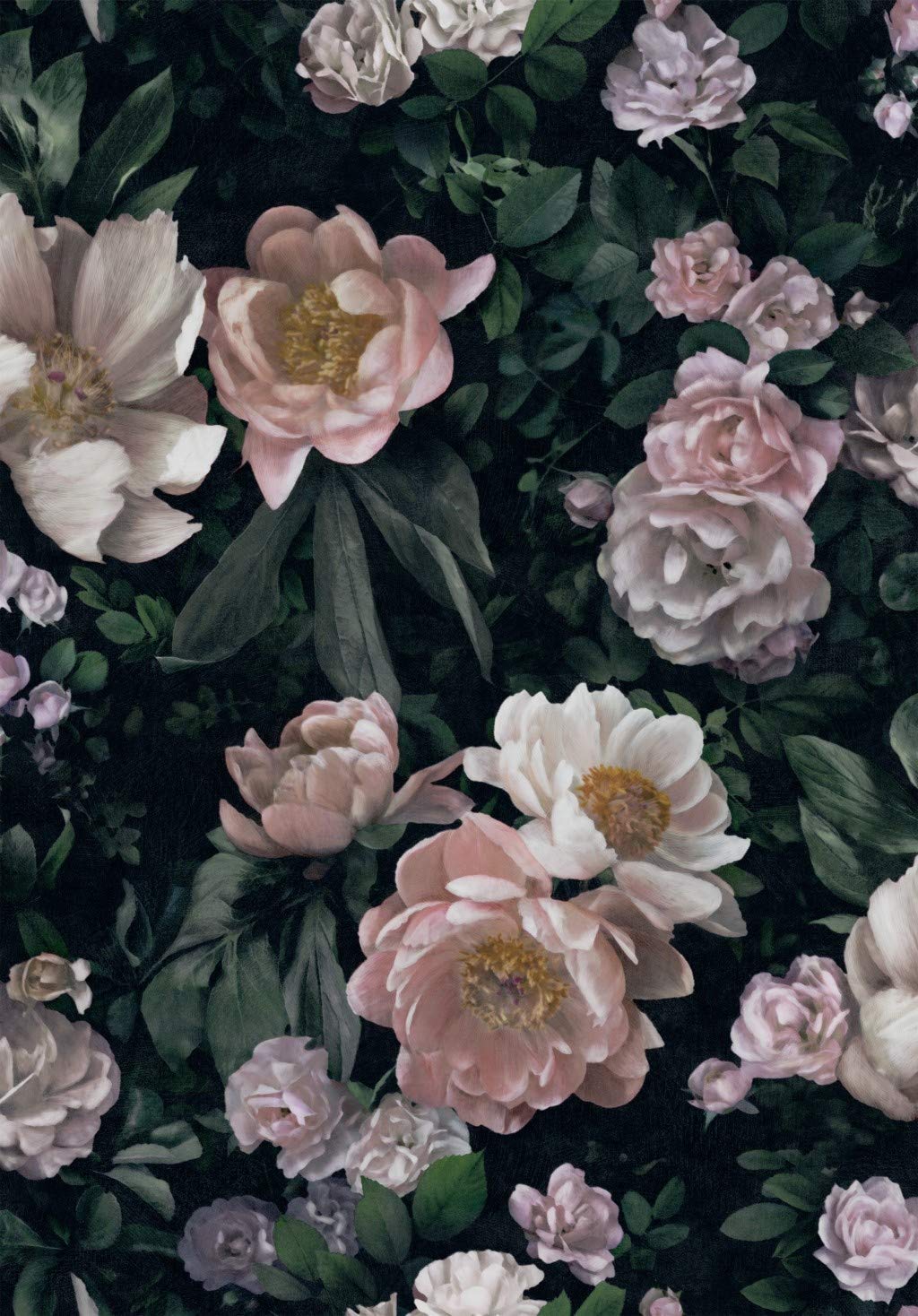 BorasTapeter Boraswallpaper In Bloom 7234 New Dawn Rose Design