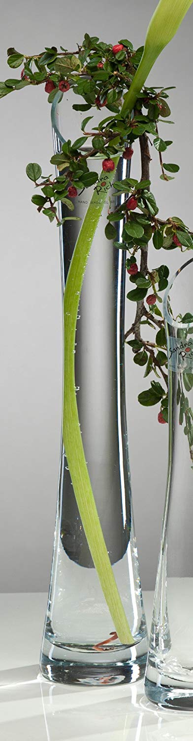 Sandra Rich Glass vase Solo - Diago concave clear 35 cm Ø 4,5 cm cold cut by Sandra Ric