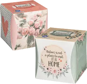 Cosmetic tissues recycling 3-ply, 60 pcs