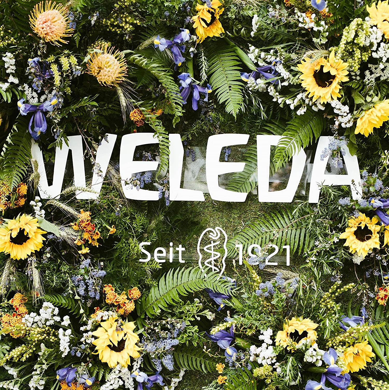 Weleda Almond Soothing Moisturiser, Natural Cosmetic, Gentle and Unperfumed Face Cream for Sensitive Combination Skin on the Face and Neck for a Healthy Complexion (1 x 30 ml)