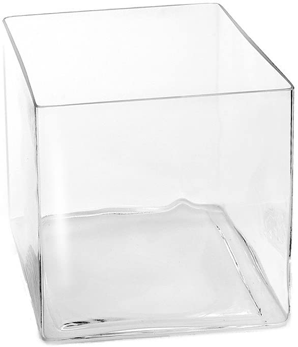 Sandra Rich glass vase CUBE square 25cm