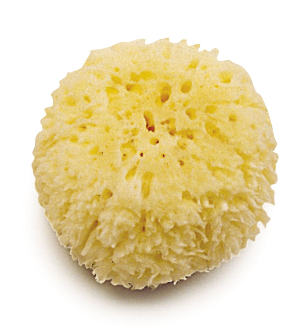 OLMITOS Natural Loofah