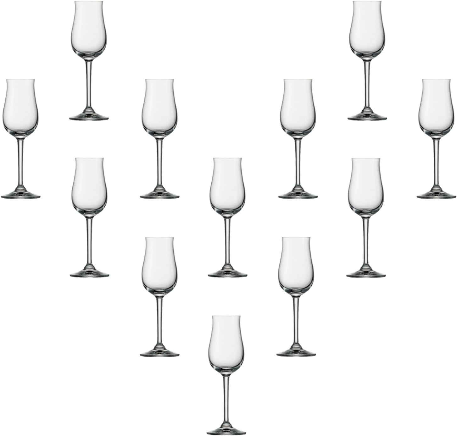 Stölzle Lausitz Stölzle Distillate Glassware Bar and Liqueur Glasses Set of 12
