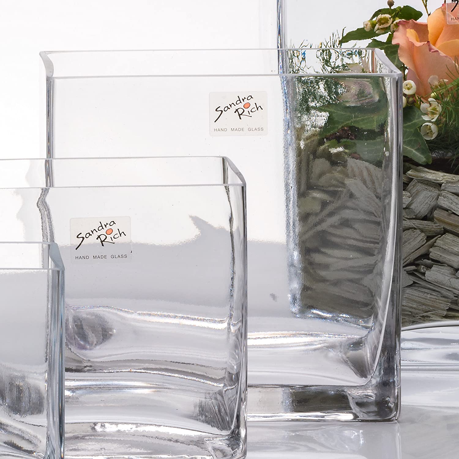 Sandra Rich Glass Vase Square Cube Glass Vase Flower Vase Table Vase 16 cm