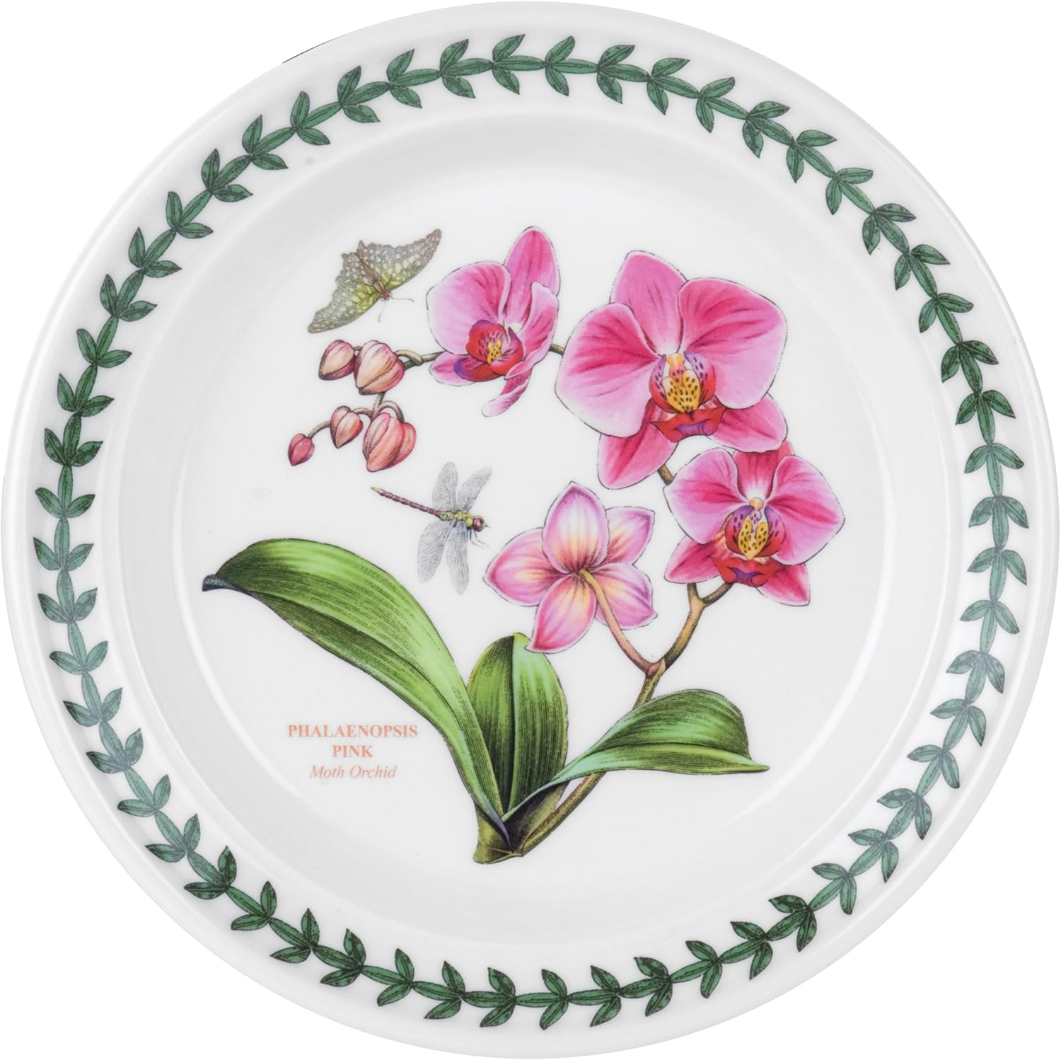 Portmeirion Exotic Botanic Garden - 6\" Bread and Butter Plates - Set o