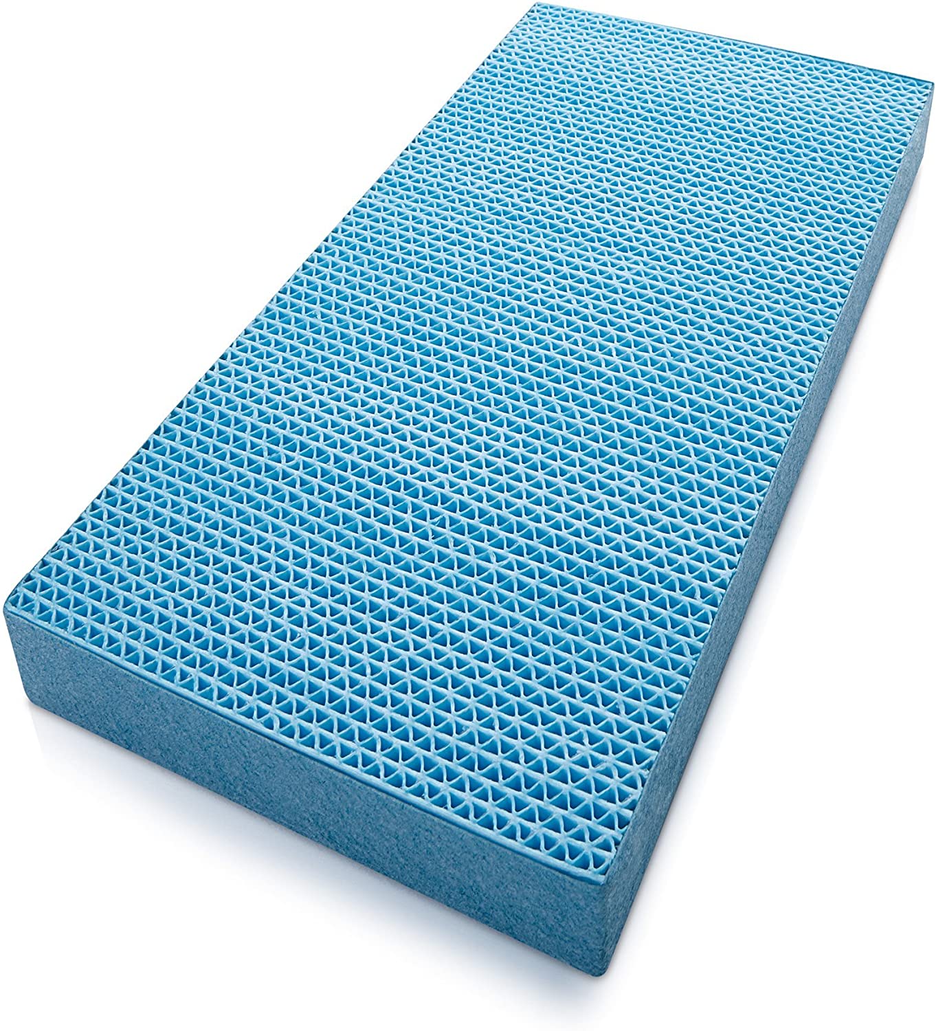 Philips AC4155 Filter for Philips/00 2 in 1 ac4080/10