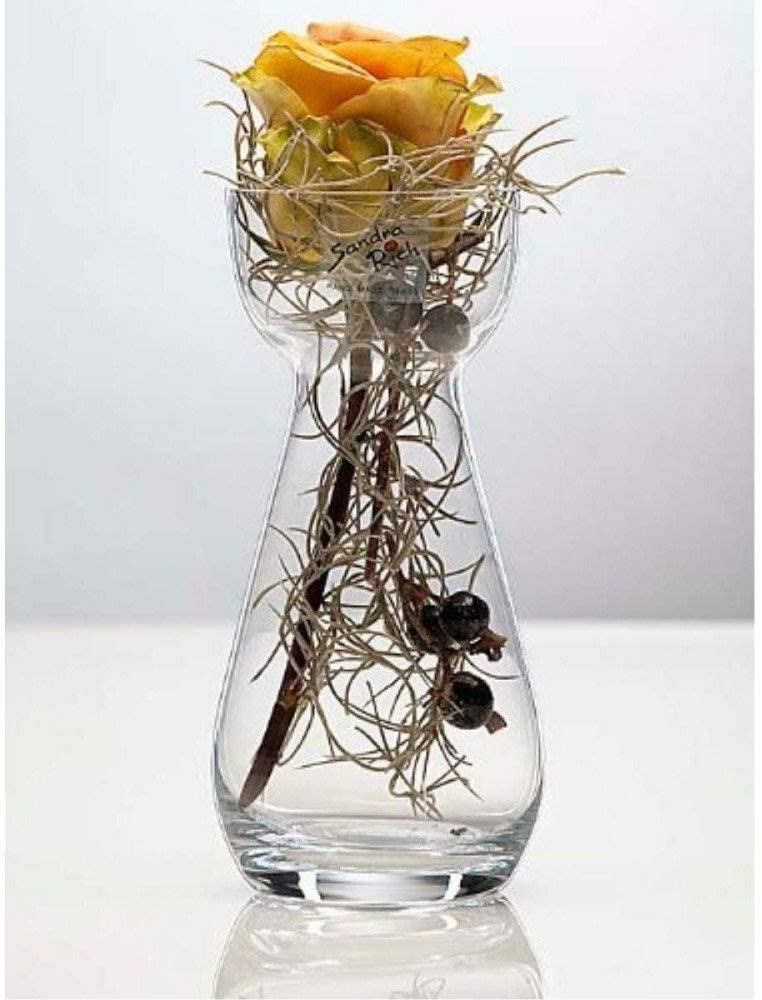 Sandra Rich glass vase HYACINTH 17cm