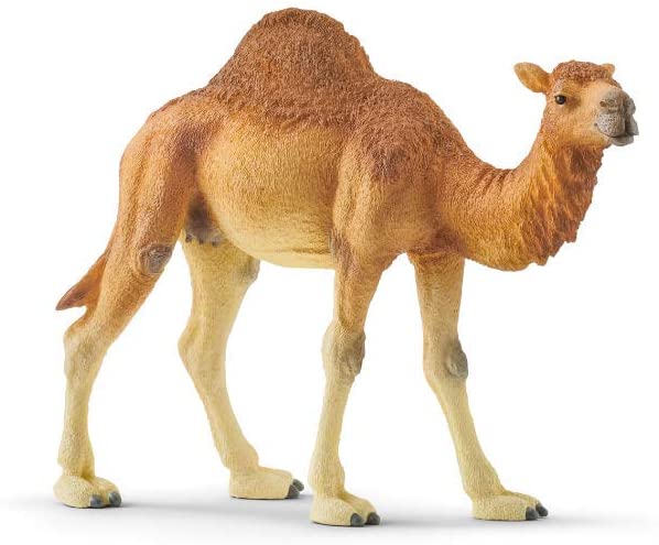 Schleich 14832 Dromedar Wild Life