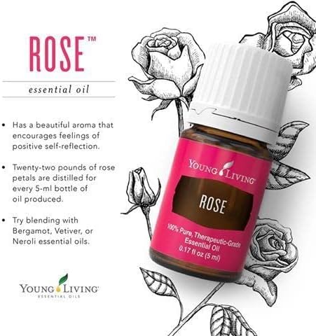 Generic doTerr@ Essential Oil 15 ml (Basil, 15 ml)