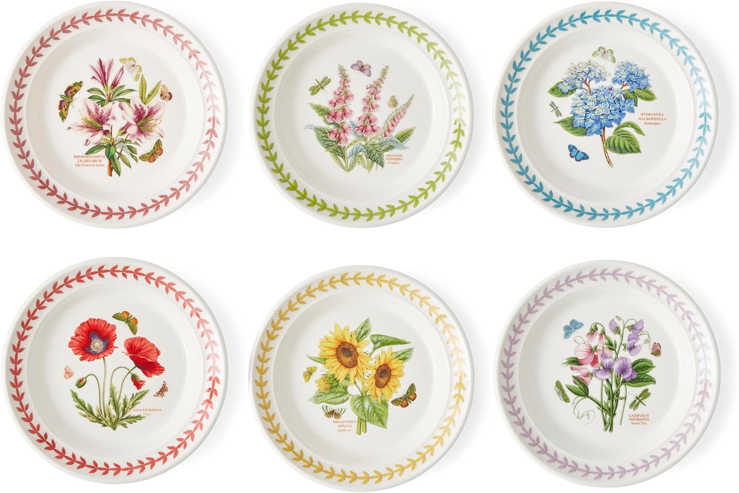 Portmeirion Portmerion Botanical Garden Meadow - 16.5cm Round Side Plates (Pack of 6) | various flowers with colorful bay leaf border | Earthenware | microwave and dishwasher safe | Home and Restaurant