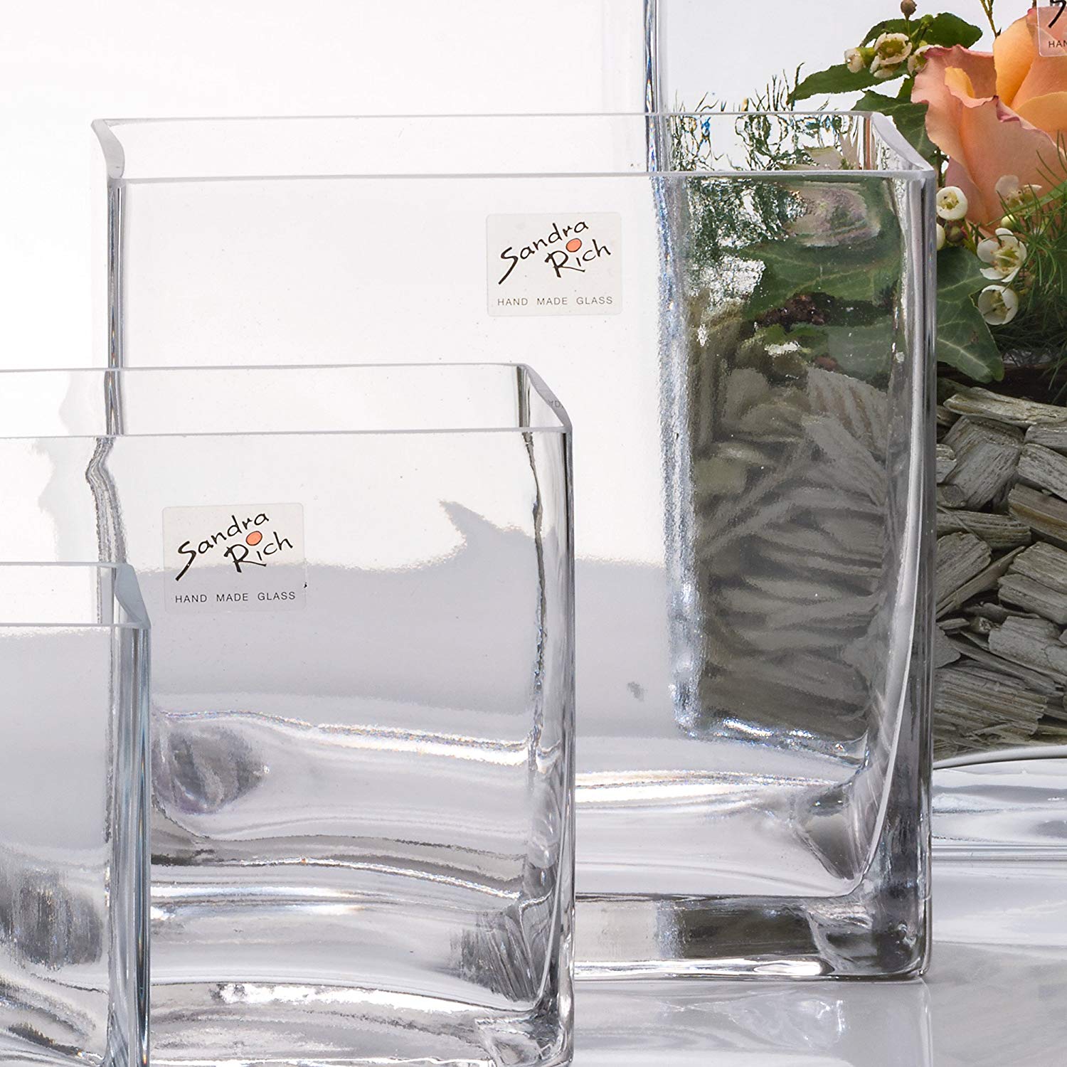 Sandra Rich Glass Vase Square Cube Glass Vase Flower Vase Table Vase 16 Cm