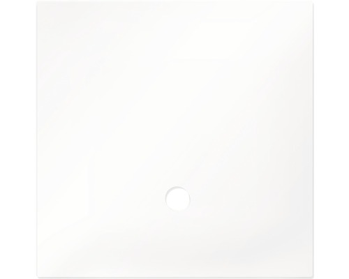 Dennerle Cover plate for NanoCube 30 liters