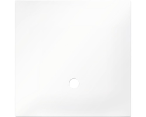 Dennerle Cover plate for NanoCube 30 liters, short