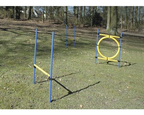 Hornbach Agility hurdle set