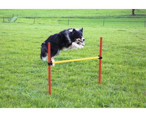 Kerbl Agility complete set 3 pieces with ring, jumping pole and slalom yellow-red