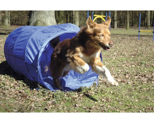 Hornbach Agility Tunnel Size L