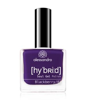 Alessandro Hybrid Blackberry