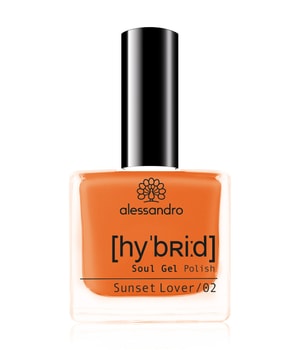 Alessandro Hybrid California Dreams Sunset Lover