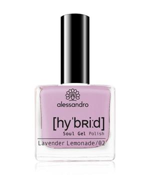 Alessandro Hybrid Lavender Lemonade